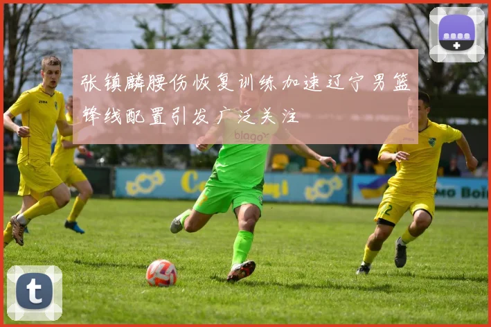 张镇麟腰伤恢复训练加速辽宁男篮锋线配置引发广泛关注